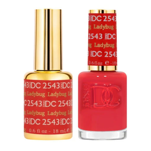 DC2543 Ladybug
